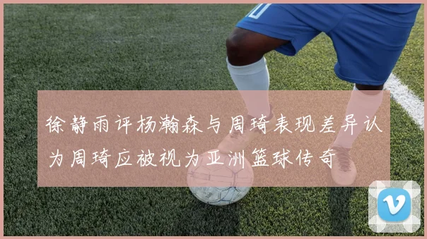 徐静雨评杨瀚森与周琦表现差异认为周琦应被视为亚洲篮球传奇